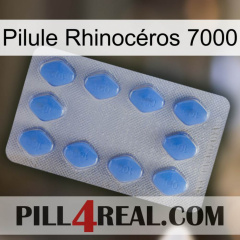Pilule Rhinocéros 7000 21